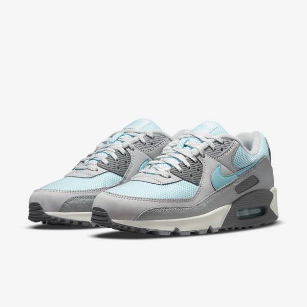 Nike Air Max 90 Sneakers Herren Grau Platin | NK375EPL