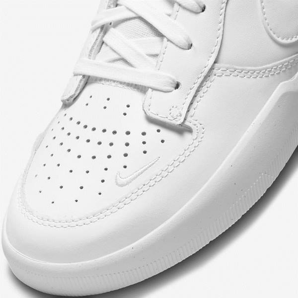 Nike SB Force 58 Premium Skate Shoes Herren Weiß | NK827PUB