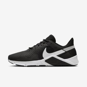 Nike Legend Essential 2 Sportschuhe Herren Metal | NK375HSP